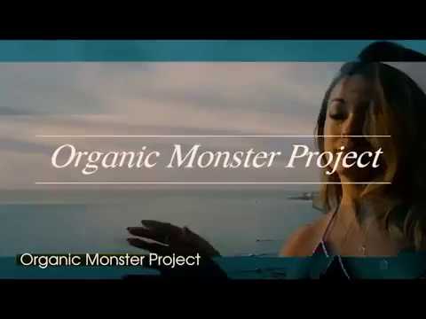 XIePMQPrzmc Yan Roads & The Organic Monster Project - Promo Video